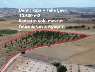 ANTALYA KORKUTELİ YELTENDE SATILIK CEVİZ BAHÇESİ 10.600 M2