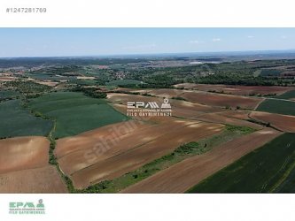 TEKİRDAĞ MALKARA TEKKEKÖY MAHALLESİ 11.029 m2 SATILIK TARLA.!!