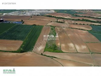 TEKİRDAĞ MALKARA TEKKEKÖY MAHALLESİ 9.928 m2 SATILIK TARLA.!!