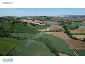 TEKİRDAĞ MALKARA TEKKEKÖY MAHALLESİ 4.670 m2 SATILIK TARLA.!!