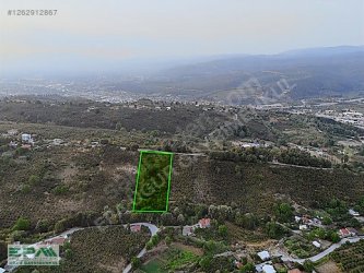 EPA UĞURDAN KAYNAŞLI FINDIKLIDA SATILIK 5900 m² FINDIKLIK ARSA