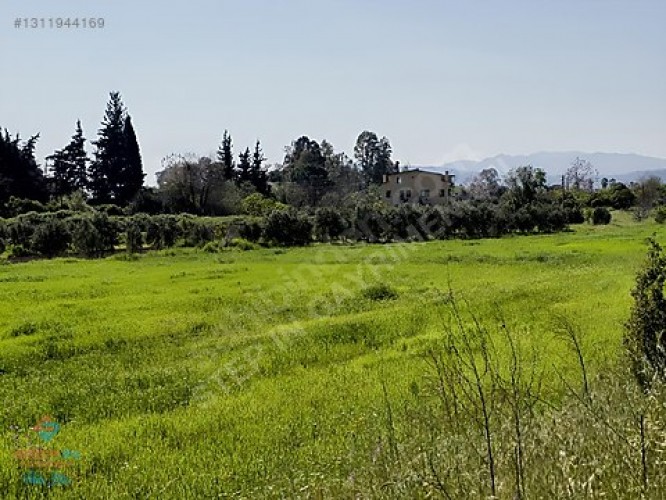 Muğla Menteşe Orhaniye Mahallesi Yaylada Satılık Tarla