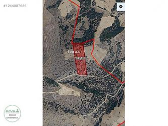 Manisa Kula Konurca Mah. 21 Dönüm Satılık Tarla