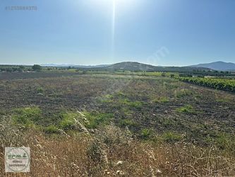 Manisa Şehzadeler Tilkisüleymaniye Mah. Satılık Tarla