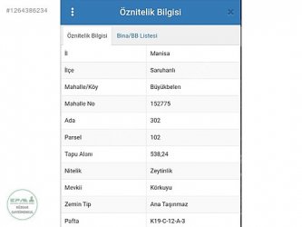Manisa Saruhanlı Büyükbelen Mah. Satılık Zeytinlik