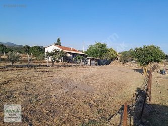 Manisa Yunusemre Çamlıca Mah. Köy İçi Satılık Tarla