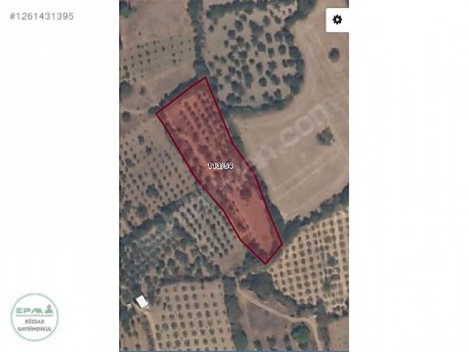 Manisa Yunusemre Büyük Sümbüller Mah. Satılık Bağ