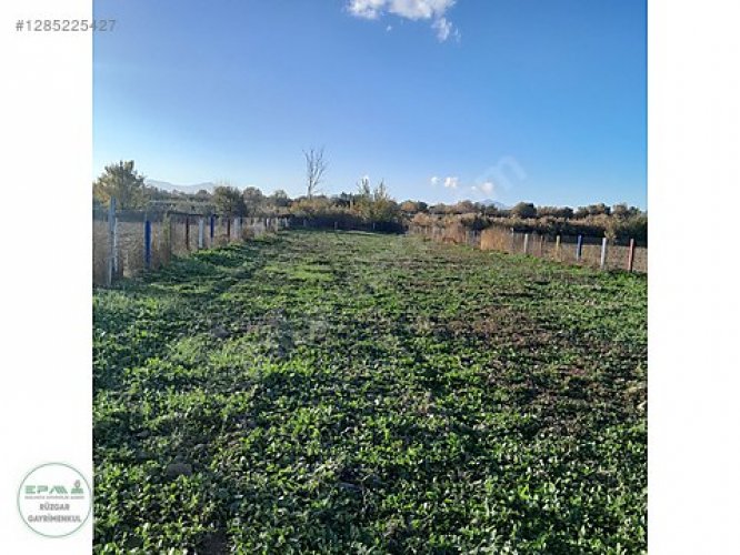 Manisa Şehzadeler Aşağıçobanisa Mah. Satılık Tarla