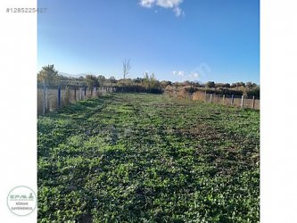 Manisa Şehzadeler Aşağıçobanisa Mah. Satılık Tarla