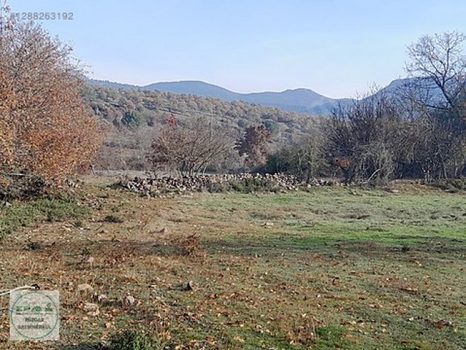 Manisa Yunusemre Karakılıçlı 4300 m2 Satılık Tarla Tek Tapu