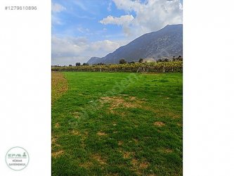 Manisa Şehzadeler Nurlupınar Mh 9.400 Tarla Daire Takası Olur..