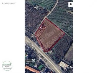 Manisa Şehzadeler Yukarı Çobanisa Mah. 7535 m2 Satılık Bağ