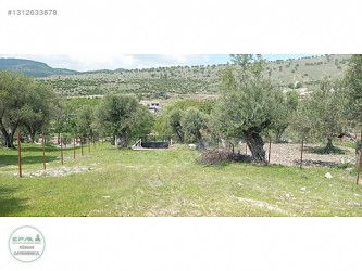 Manisa Şehzadeler Kağan Mah. 1200 m2 Tarla Köy İçi İmarlı
