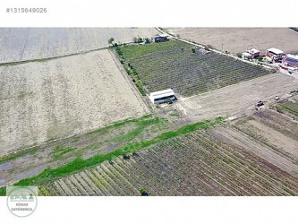 Manisa Şehzadeler Kazım Karabekir Mah 9046 m2 Satılık Bağ