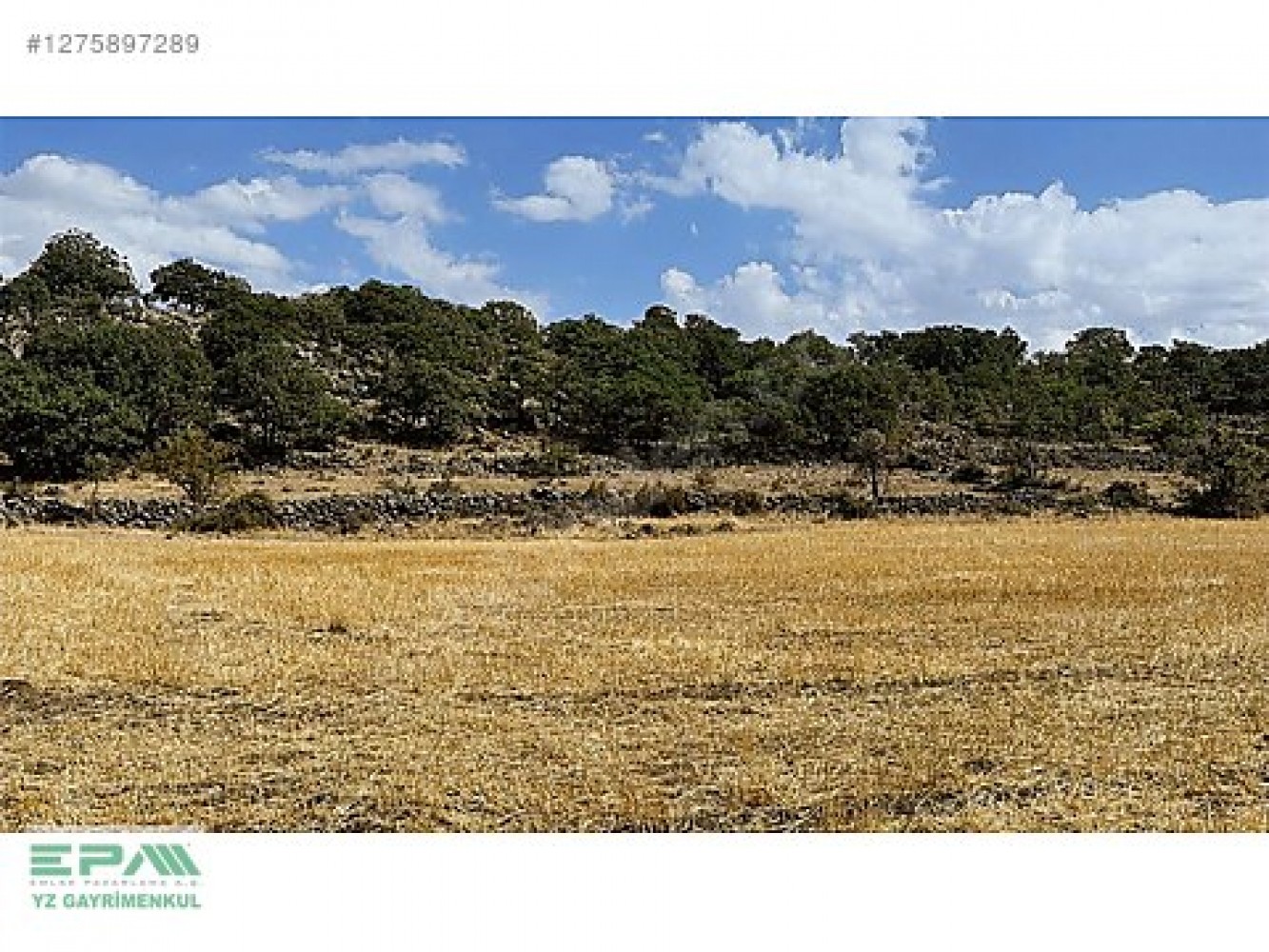 TALAS AKÇAKAYADA İMARA ÇOK YAKIN 4243 m ARSA
