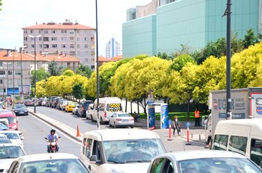 Lab Gayrimenkul`den...FULYA MAH CEVAHİR AVM YANI MASRAFSIZ KİRALIK DAİRE.