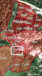 AYVACIK DEMİRCİ köyde satılık zeytinlik