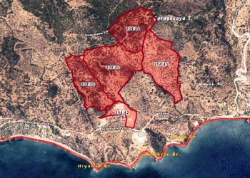 Çanakkale, Ayvacık, Bademli köy sınırlarında 5 parça bitişik tarla 215.100.-m2 
