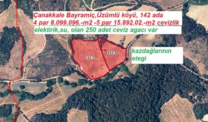 Çanakkale, Bayramiç, Üzümlü köyü SATILIK  24.000.-m2  cevizlik