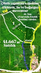 SAKARYA,HENDEK,KOCAAHMET te 41.330.-m2 fındıklık ve bir bölümü 8.330.-m2 Köy içi  Villa imarlı arsa