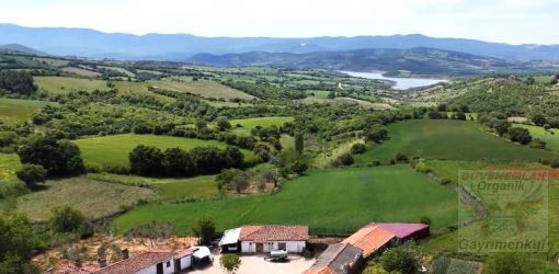 Çanakkale,Bayramiç, Bıyıklı Köyü  ev ve ARSA