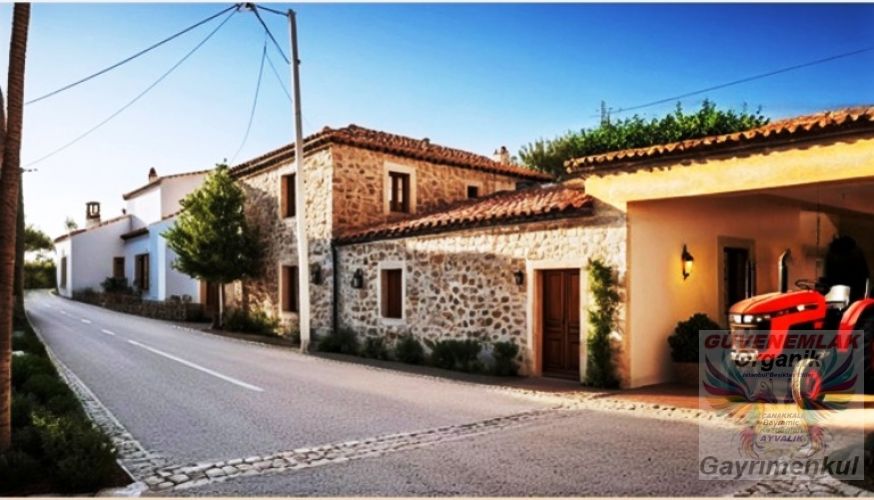 Bayramiç, Çavuşköy de Köy içi Taş ev ve Dam