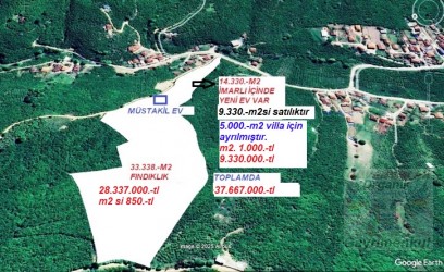 SAKARYA,HENDEK,KOCAAHMET te 33.338.-m2 fındıklık ve bir bölümü Köy içi  Villa imarlı bölümü