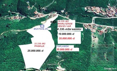 SAKARYA,HENDEK,KOCAAHMET te 33.338.-m2 fındıklık ve 8.330.-m2 Köy içi  Villa imarlı arsa