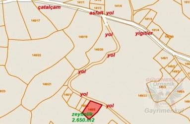 Çanakkale,Bayramiç, Yigitler satılık zeytinlik