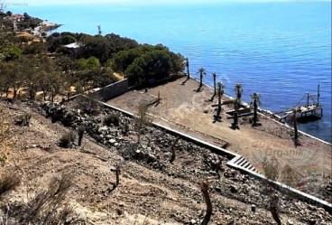 AYVACIK, (assos) Büyükhüsun Sahilnde Zeytinlik arsa