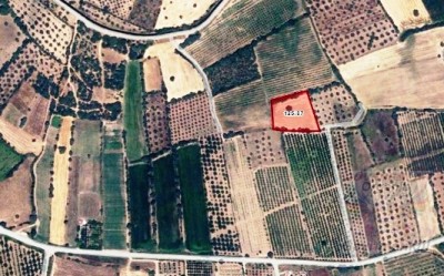 Bayramiç, Sacaklı Ovasında ( köy altı ) SATILIK tarla