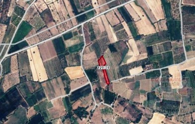 Bayramiç Saçaklı Köyü (nehir kenarı) Ovasında SATILIK ekilir biçilir tarla