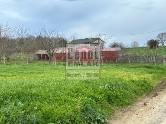 SAKARYA KAYNARCADA CANOL EMLAKTAN SATILIK 6000 M2 KÖY KENARI ARAZİ