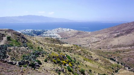 BODRUM TURGTUREİS TE ADALAR VE DENİZ MANZARALI YATIRIMLIK TARLA REF- 2536