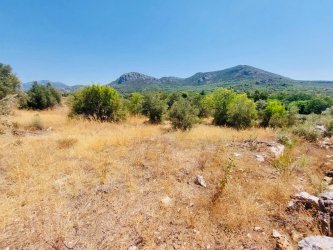 ANTALYA DÖŞEMEALTI KİLLİK KÖYÜ SATILIK TARLA HİSSESİ