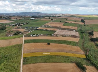 Çatalca Çakıl Mahallesi Tek Tapu 4570 m2 Satılık Tarla