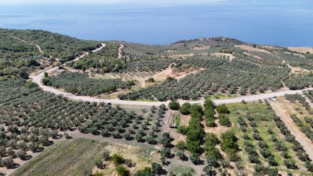 Balıkesir Bandırma Misakça Köyü Ana Yol Üzeri Satılık Bağ Yeri