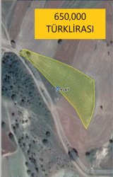 YOLA CEPHE  CEVİZ BAHÇESİ 4,310 M2
