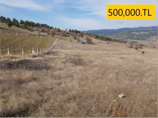 YATIRIMLIK TARLA 2279 M2