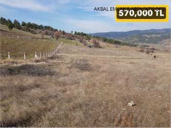 SORGUNCUKAHİLER KÖYÜNE VE ANA YOLA 1.2 KM UZAKLIKTA, YOLA 1 PARSEL 2,279 M2 MÜSTAKİL TARLA