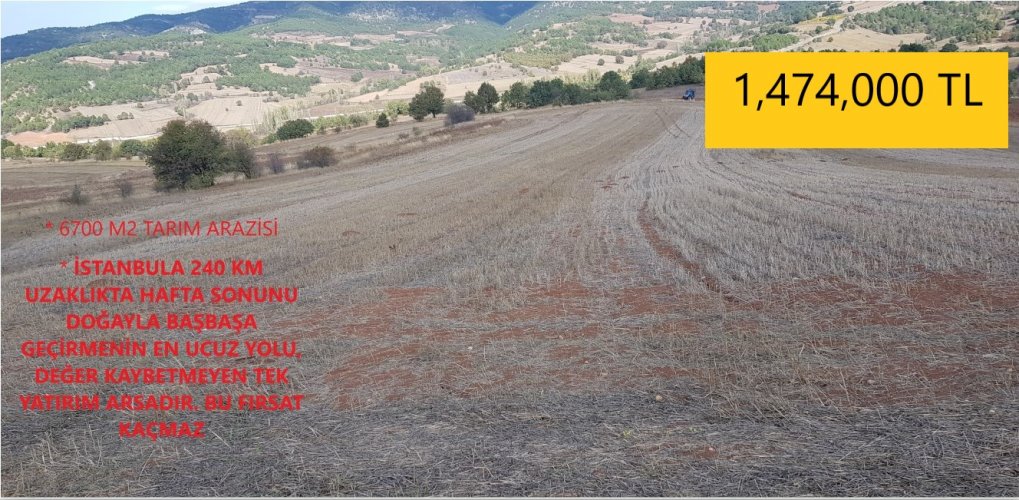BİLECİK, YENİPAZAR, SORGUNCUKAHİLER KÖYÜ, 6700 M2 TARIM ARAZİSİ