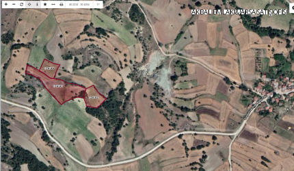 SORGUNCUK AHİLERDE 17,972 M2 TARLA MERAYA SIFIR 100 AD CEVİZ MEVCUT ANA YOLA 750 MT KÖYE 550 MT MESAFEDE