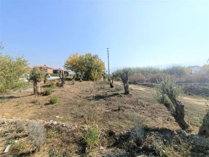 KUŞADASI DAVUTLAR SAHİLİNDE 437 M2 MÜSTAKİL VİLLA YAPIMINA UYGUN