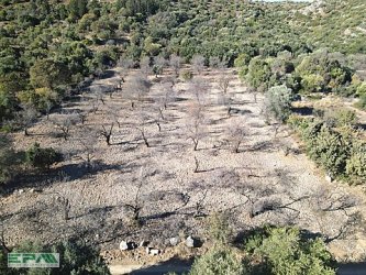 EPA DATÇA Kargı Deresi 6 Dönüm Tarla, Bağ Evine Uygun
