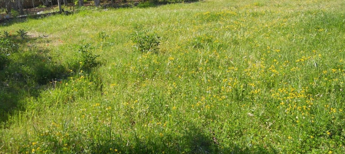 GÜRMES GAYRİMENKULDEN  SATILIK İMARLI ARSA