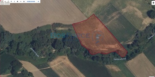 Lüleburgaz Turgutbey`de Satılık 6.050 m² Tarla