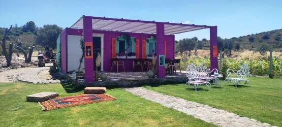 OVACIK DA 30 DÖNÜM İÇİNDE LAVANTA BAHÇESİ, ZEYTİNLİK, CAFETERYA
