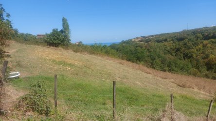 ÇATALÇAM`DA İMAR PLANI İÇİNDE,SATILIK YOLA CEPHE HİSSELİ ARSALAR