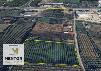 EĞERCİLİ`DE SATILIK 12.745 m2 YOL,ELEKTRİK, SUYU OLAN FINDIKLIK