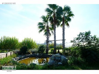 Urla Ovacık ta Doğa ve Huzur dolu Satılık Çiftlik